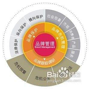 打造个性化爬虫店Logo的核心策略 以品牌管理驱动形象升级
