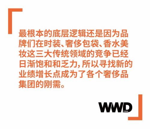 软奢品牌跨界硬奢 品牌管理中的机遇与挑战